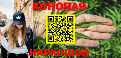 стаф Кулебаки