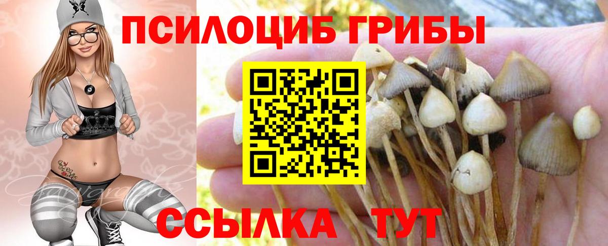 ГАШ Димитровград